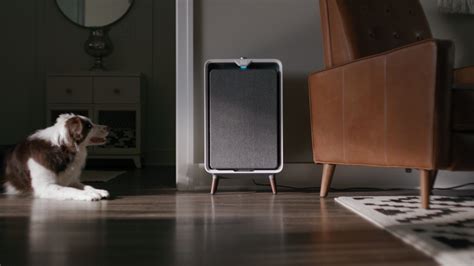 Homepage | BISSELL