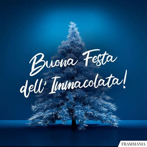 Buona Festa DellImmacolata Buona Festa Immacolata Auguri