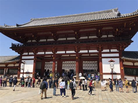 Todaiji Temple: Deer and Cherry Blossoms in Nara — The Gaijin Ghost