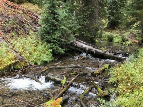 Annie Creek Canyon Crater Lake National Park 2021 All You Need To