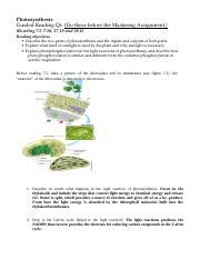 L08 GRQs Photosynthesis Docx Photosynthesis Guided Reading Qs Do