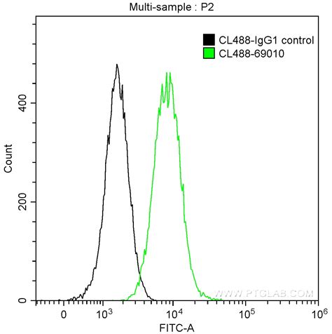 Noggin Antibody Cl488 69010 Proteintech