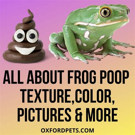 What Does A Frog Poop Look Like? (Pictures) 101 Guide - Oxford Pets