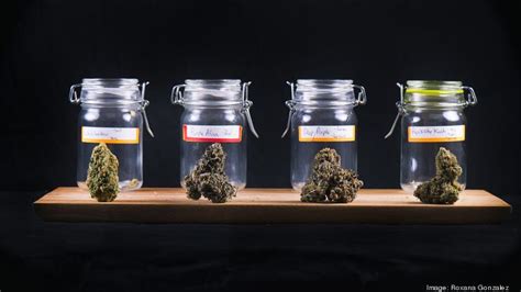 39 medical marijuana dispensaries ready in Maryland — over 60 still to come