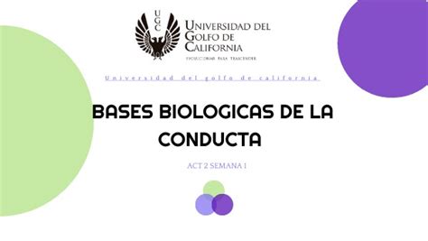 Mapa Conceptual Bases Biol Gicas De La Conducta