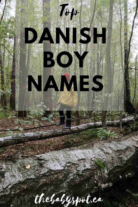 67 Top Danish Boys Names of 2023