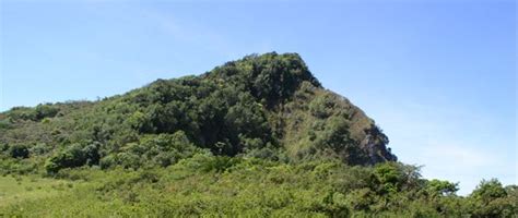 pico diego ocampo Acción Verde El Portal Ambiental de la República