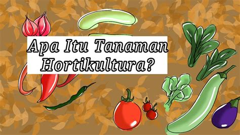 Apa Itu Hortikultura Hortikultura Adalah Youtube