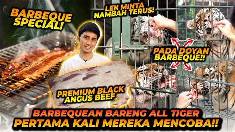 Bbq Bareng Harimau Premium Black Angus Mengisi Penuh Perut Harimau