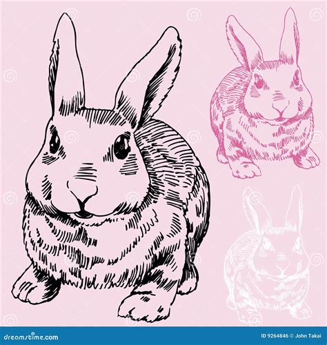 Bunny / Rabbit Sketch stock vector. Illustration of clipart - 9264846