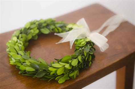 Mini Preserved Boxwood Wreath | The Blaithin Blair Shop