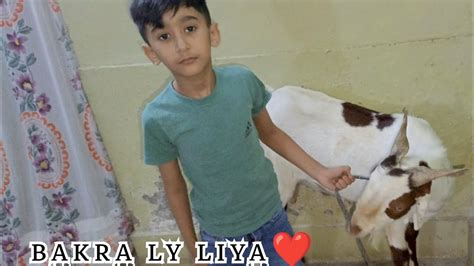 Qurbani Ka Bakra Ly Liya Mama And Sarim Vlogs Youtube