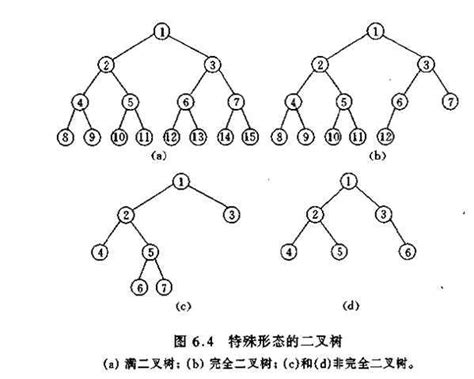 最优二叉树算法 快懂百科