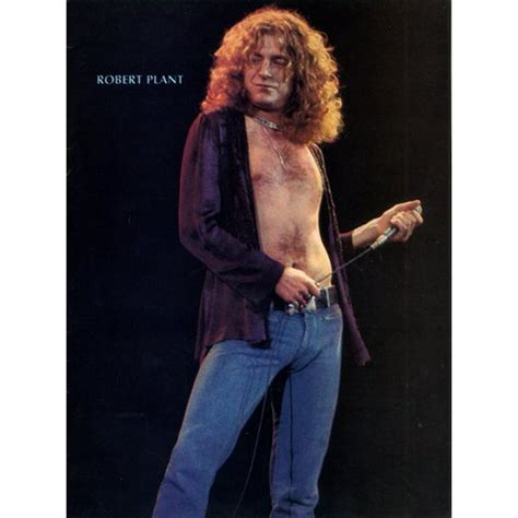 Robert Plant Poster 24inx36in Art Poster 24x36