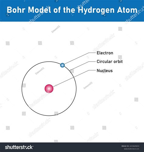 Circular Orbit Electron Bohr Model Hydrogen Stock Vector (Royalty Free ...