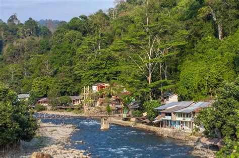 Wisata Bukit Lawang Serunya Berpetualang Di Alam Nan Asri Orami