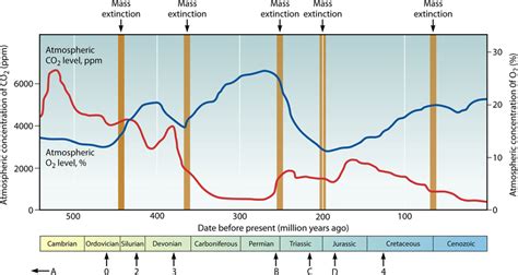 A history of algal evolution. The timeline maps changes in atmospheric ...