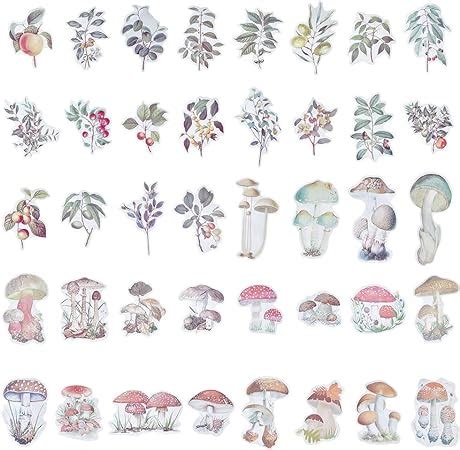 Craspire Pcs Nature Stickers Fruits Mushroom Pattern Transparent