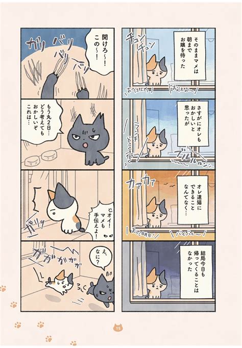 愛猫家共感必至の話題作 【マンガ】特別公開！ オキエイコ 『もしもなんて来ないと思っていた猫』 写真 14枚目