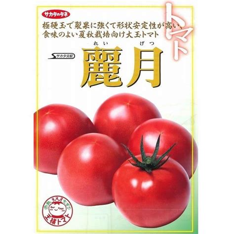 定番スタイル トマト 麗月 40粒 サカタのタネ 実咲pro Honeyhiraadir