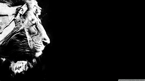 Black And White Lion Wallpapers - Wallpaper Cave