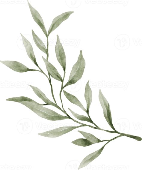 Greenery Leaf Watercolor Png