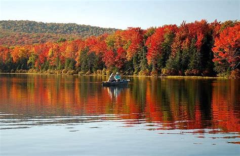 Dall America Al Giappone Tempo Di Foliage Meteo Giornale