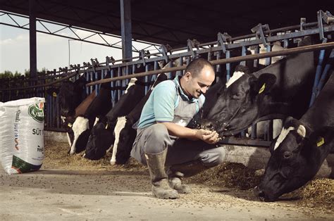 Agriculture Livestock And Fisheries Yaşar Holding