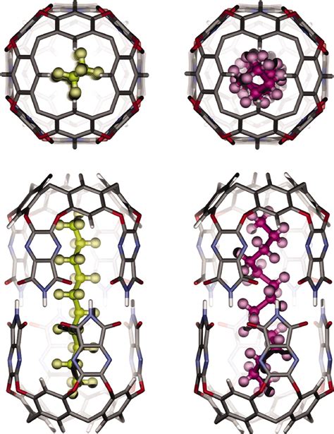 Self Fulfilling Cavitands Packing Alkyl Chains Into Small Spaces Pnas