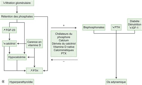 John Libbey Eurotext Néphrologie Thérapeutique Complications et