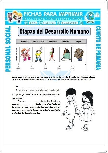 Etapas Del Desarrollo Humano Fichas De Ciencias Naturales De Primaria Etapas Del