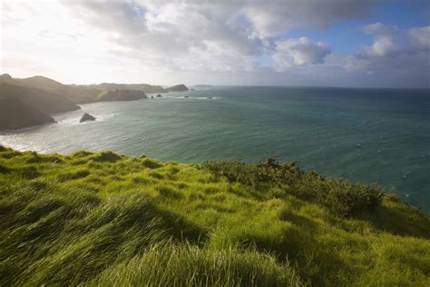 Top 9 Beaches in the Far North of New Zealand