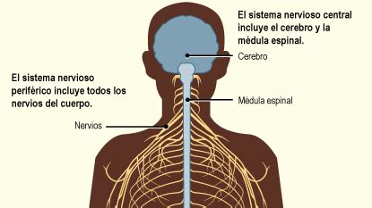 Marketing De Motores De B Squeda Rbitro S Tira Las Partes Del Sistema