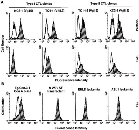 Facs Analysis Of Perforin Fasl And Fas Expression A Perforin And