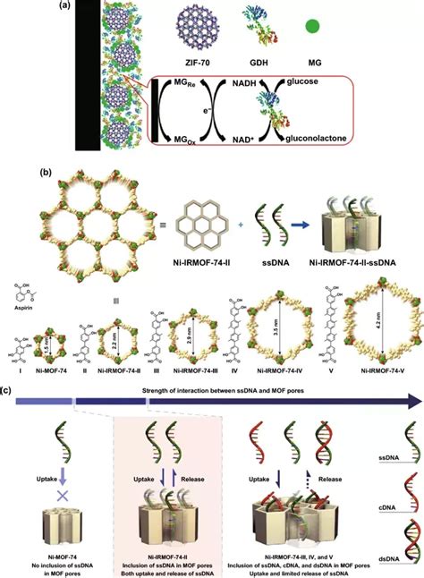 金属 有机框架纳米药物载体在生物医学中的应用 知乎