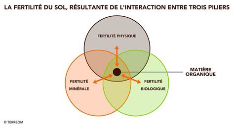 Mesurer La Fertilité Du Sol Outils Et Méthodes Terreom Formation