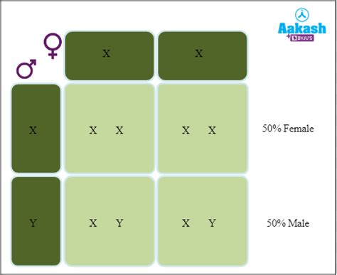 Genotypic Genic Balance Theory Of Sex Determination Aesl