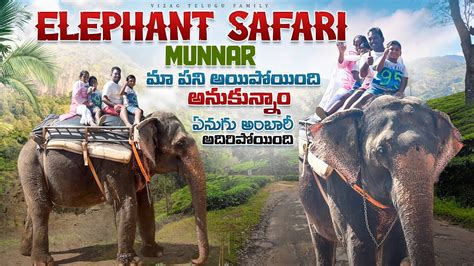 Elephant Safari Munnar Kerala Places To Visit In Munnar Munnar