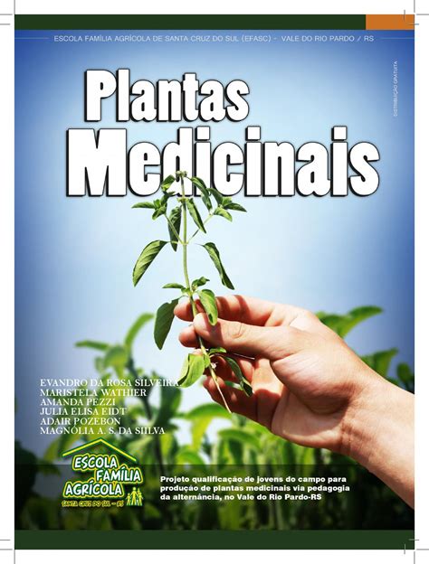 Cartilha Plantas Medicinais EFA By Fernando Mallmann Issuu