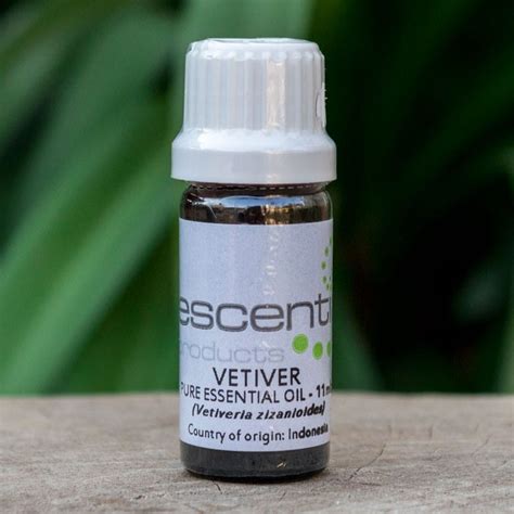 Vetiver Essential oil (Escentia) | Organic Choice