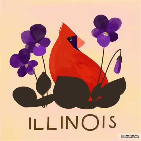 Illinois State Bird and Flower by Sarah Ferone on Dribbble