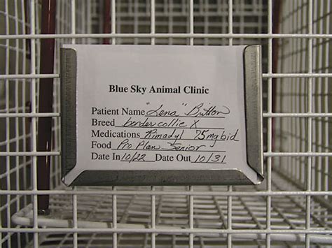 Cage Cards Smartpractice Veterinary