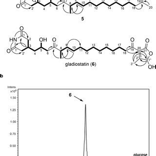 Identification And Structure Elucidation Of Metabolic Products Of The