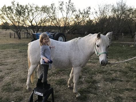 LESSONS — Hidden Branch Stables