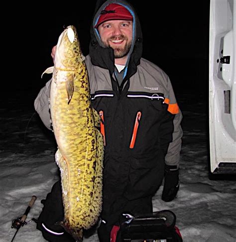 How to Fish Eelpout - Virtual Angling