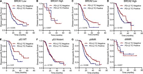 PDL1 And PDL2 Expression In Pancreatic Ductal Adenocarcinoma And