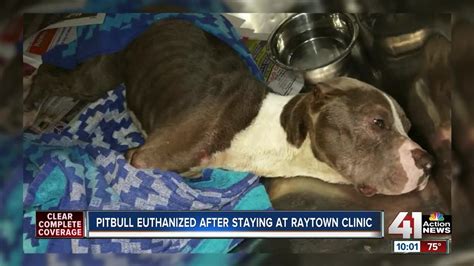 Raytown Animal Control Vet Talks Impound Process