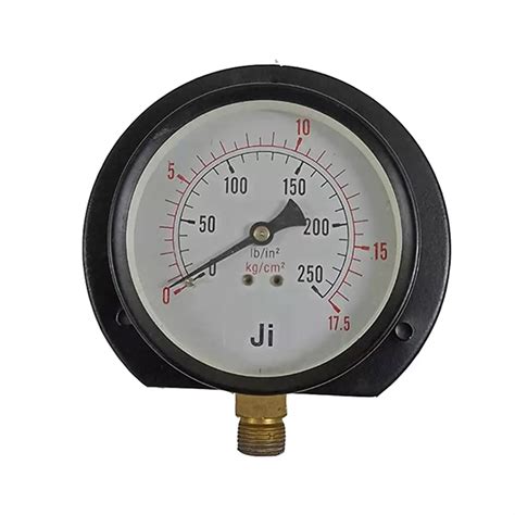 Buy Ji Japsin Instrumentation 100 Mm Pressure Gauge JI 24 Online In