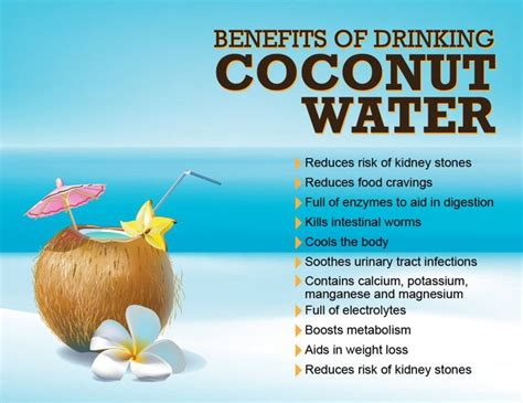 Benefits Of Drinking Coconut Water Coconut Water