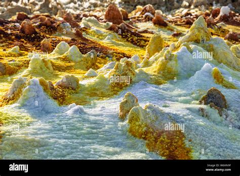 Acidic hot springs and geysers, mineral formations, salt deposits in the crater of Dallol ...